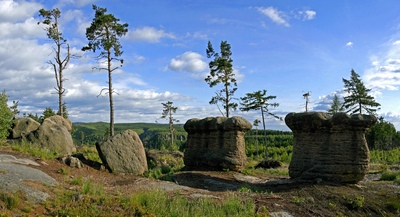 Slavenské hřiby