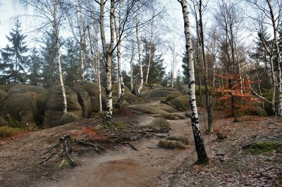 14-broumovske-steny-na-hrebenu.jpg